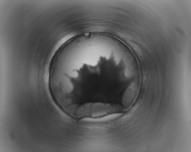 X0000116861418201001051416