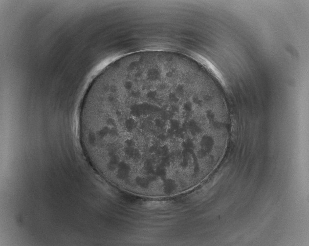 X0000116861419201001051416