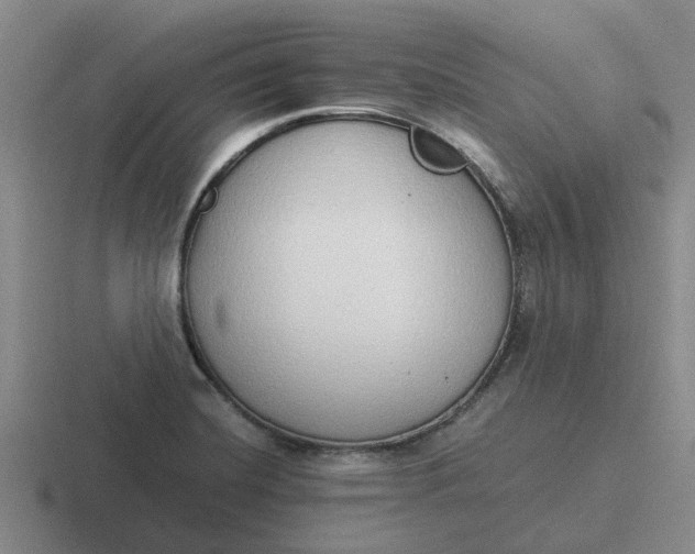 X0000116861420201001051416