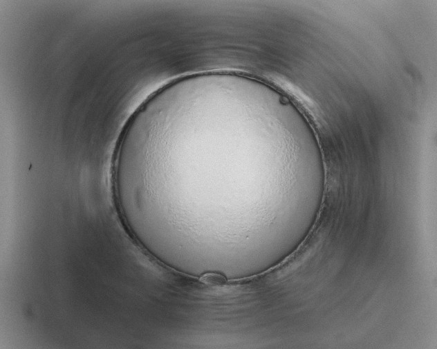 X0000116861423201001051416