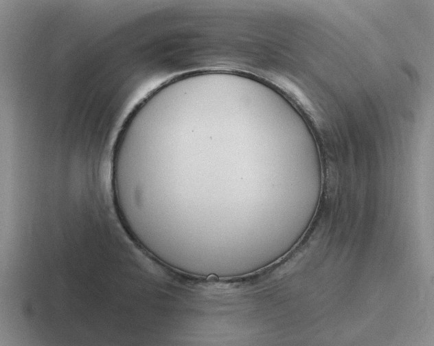 X0000116861424201001051416