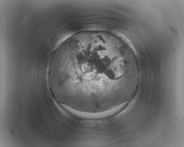 X0000116861425201001051416