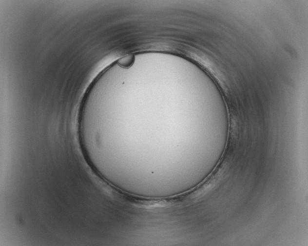 X0000116861426201001051416