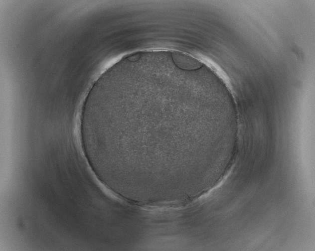 X0000116861429201001051416