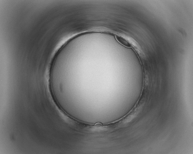 X0000116861430201001051416