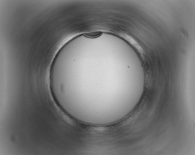 X0000116861431201001051416