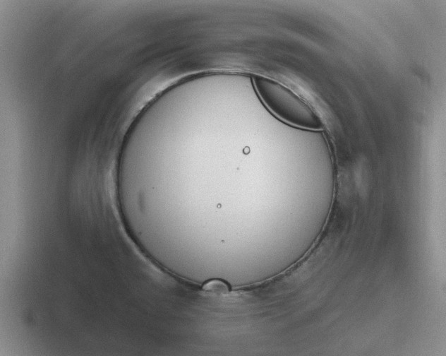 X0000116861432201001051416