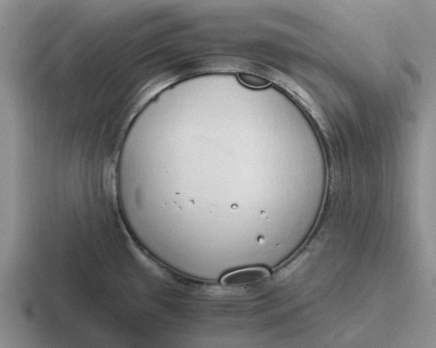 X0000116861433201001051416