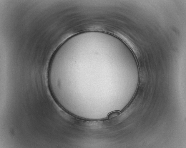 X0000116861434201001051416