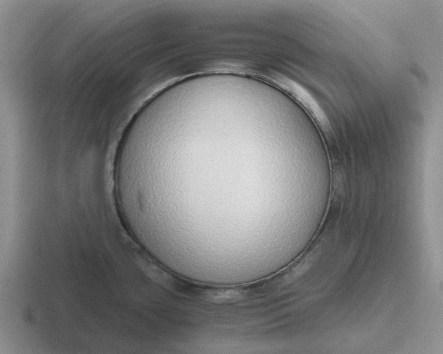 X0000116861435201001051416