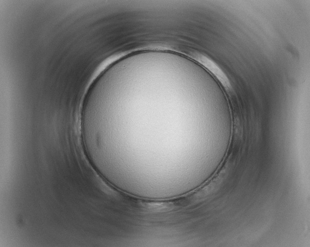 X0000116861436201001051416