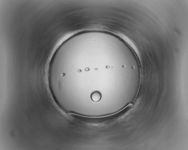 X0000116861437201001051416