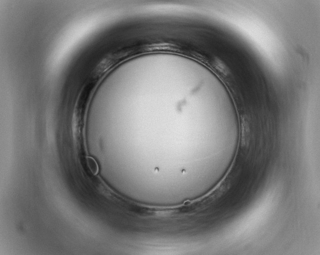 X0000116861438201001051416