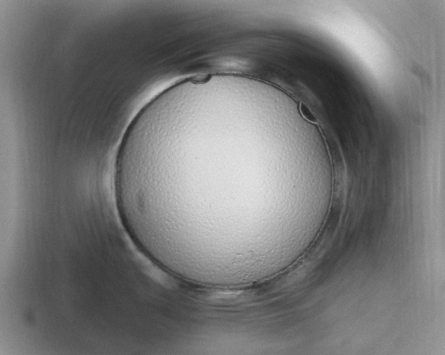 X0000116861439201001051416