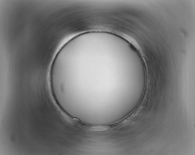 X0000116861440201001051416