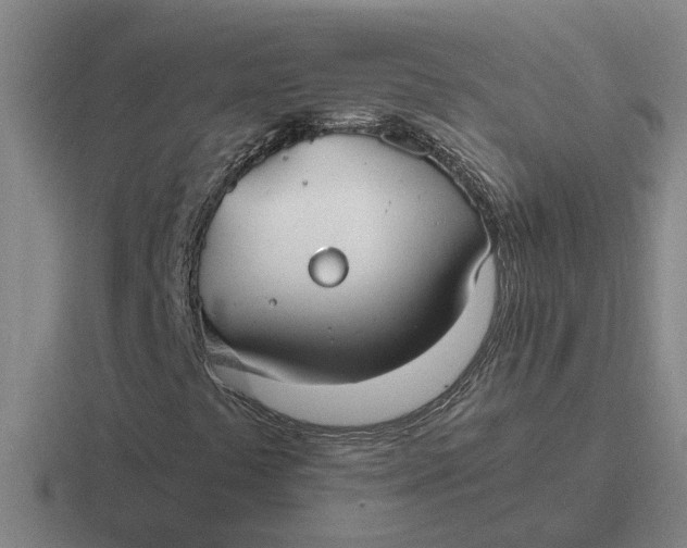 X0000116861441201001051416