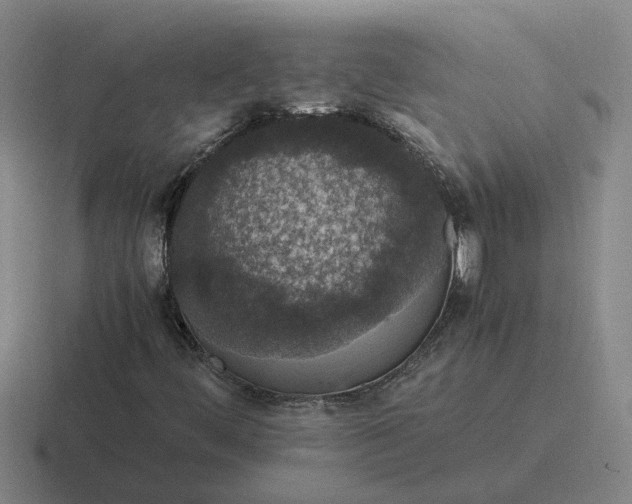 X0000116861444201001051415