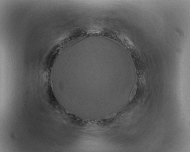 X0000116861445201001051415