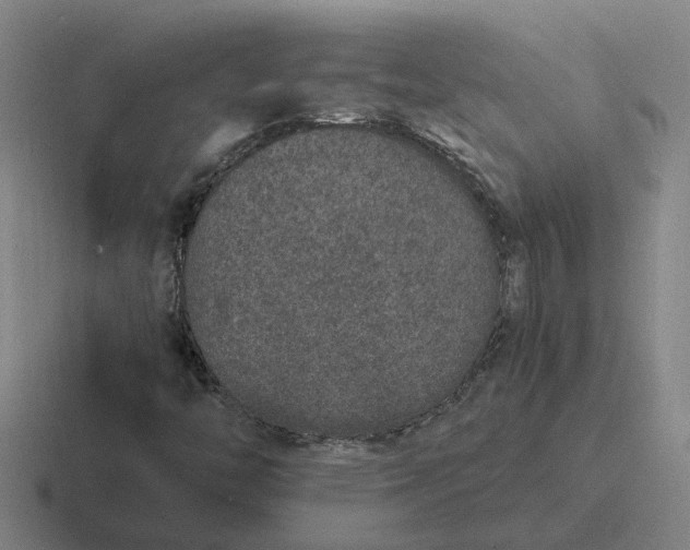 X0000116861446201001051415