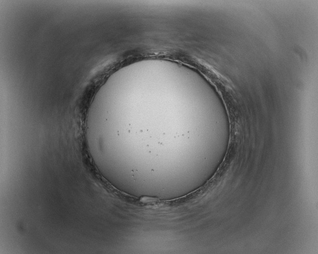 X0000116861447201001051415