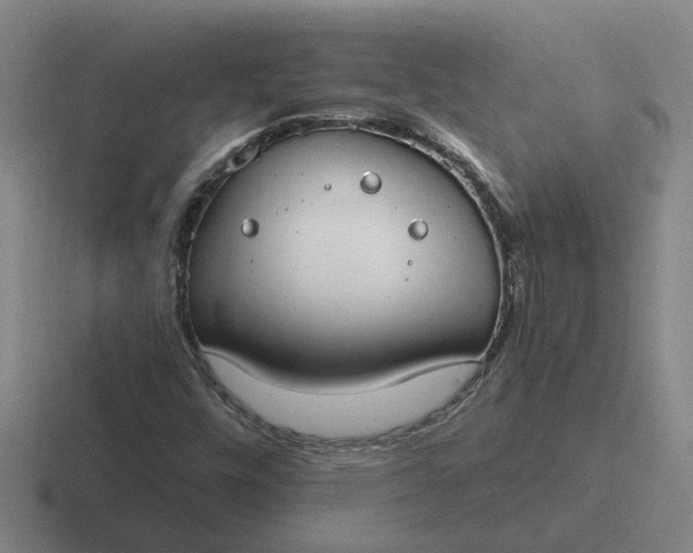 X0000116861448201001051415