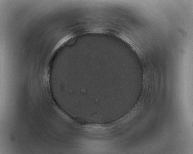 X0000116861450201001051415