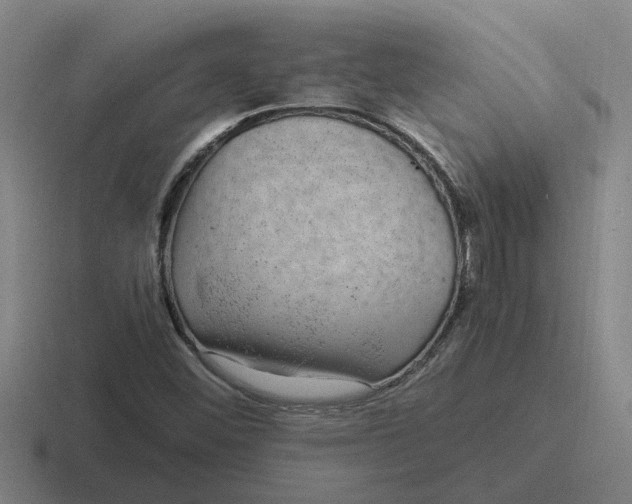 X0000116861452201001051415