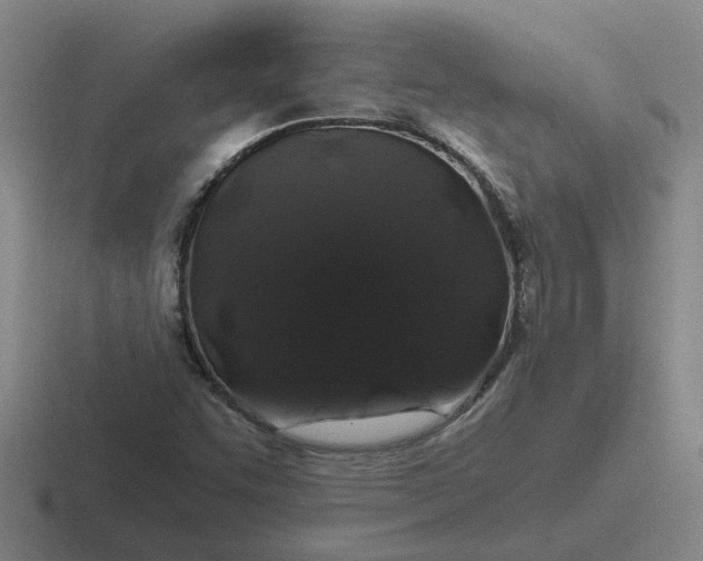 X0000116861455201001051415