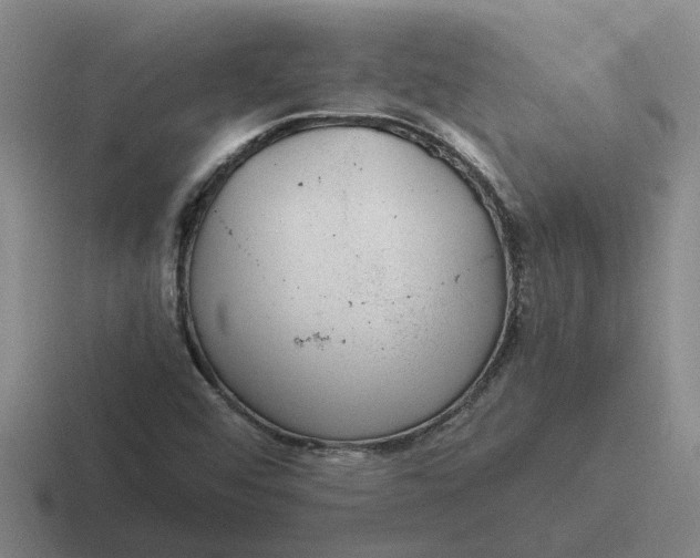 X0000116861456201001051415