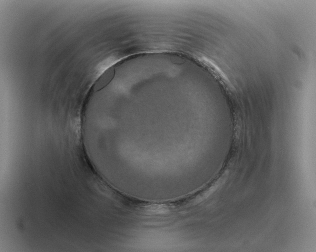 X0000116861457201001051415