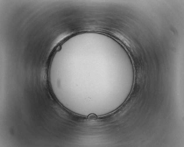 X0000116861458201001051415