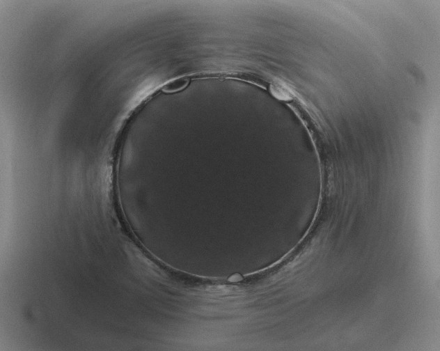 X0000116861459201001051415