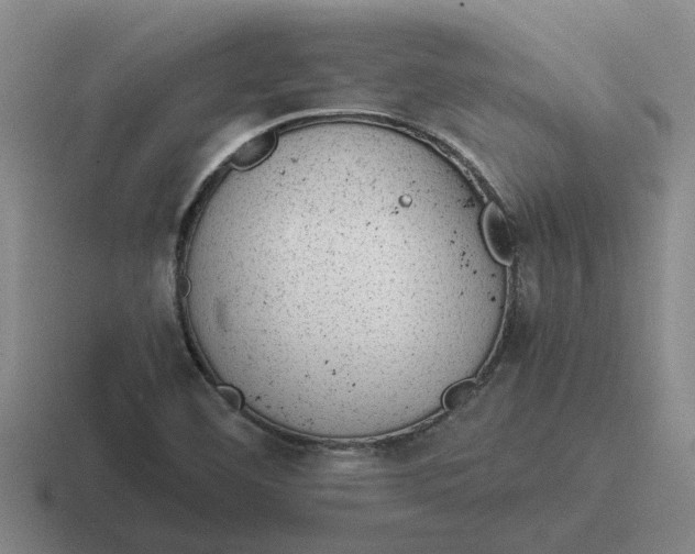 X0000116861460201001051415