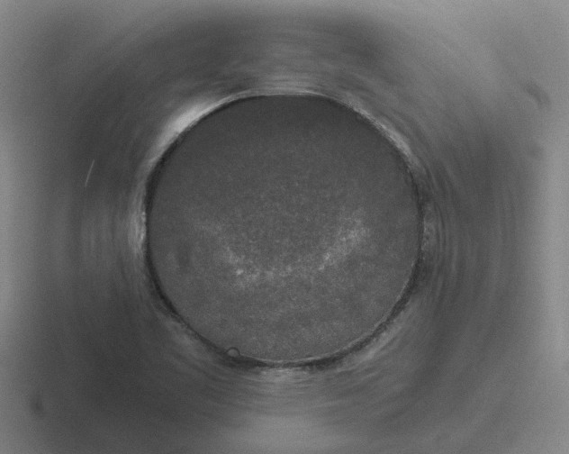 X0000116861461201001051415