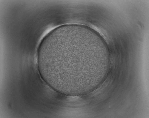 X0000116861462201001051415