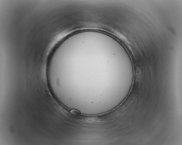 X0000116861464201001051415