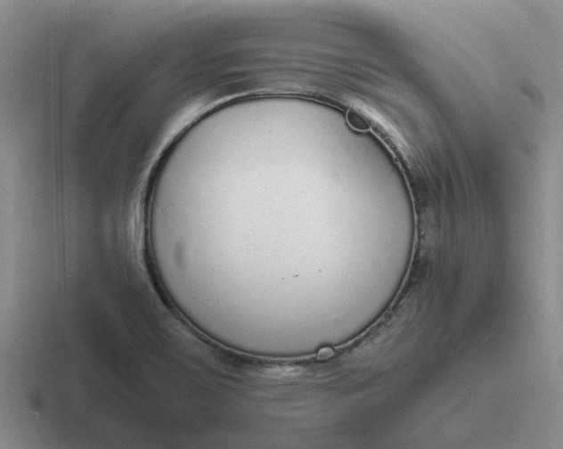 X0000116861467201001051415