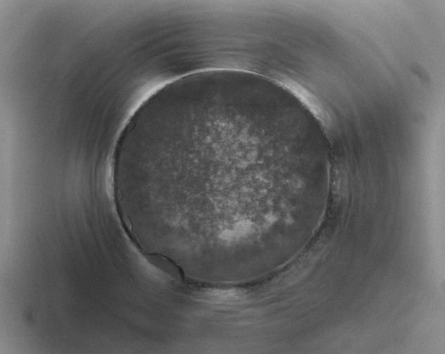 X0000116861468201001051415