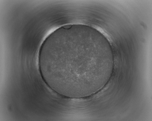 X0000116861469201001051415