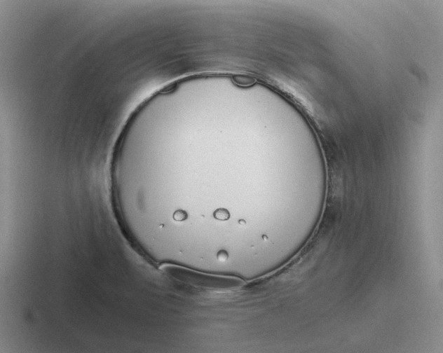 X0000116861471201001051415