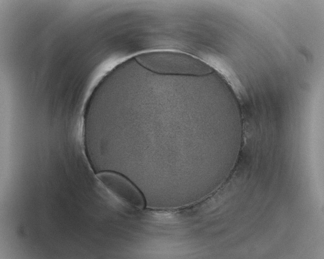 X0000116861472201001051415