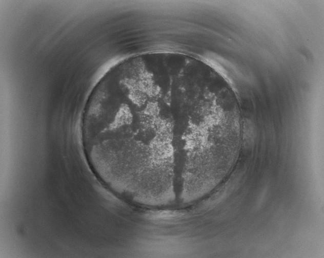 X0000116861474201001051415