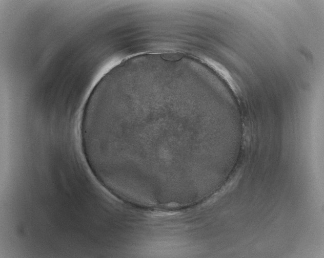 X0000116861475201001051415