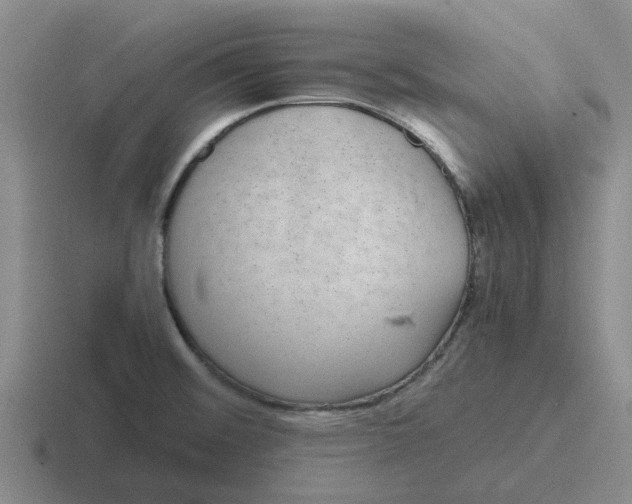 X0000116861476201001051415