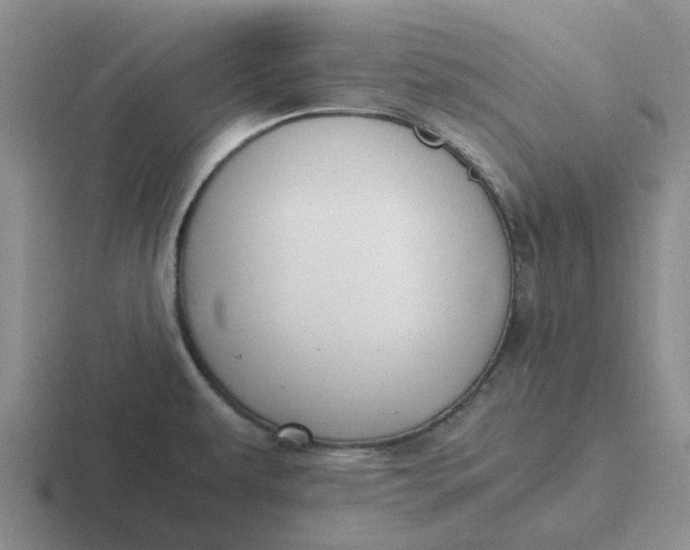 X0000116861479201001051415