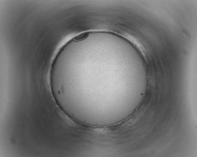 X0000116861480201001051415