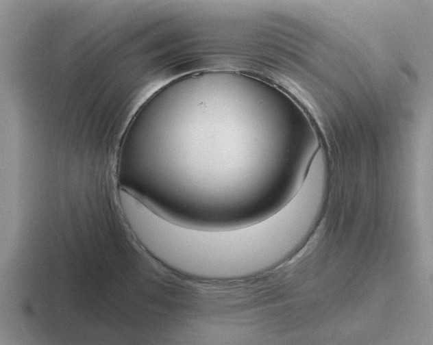 X0000116861481201001051415