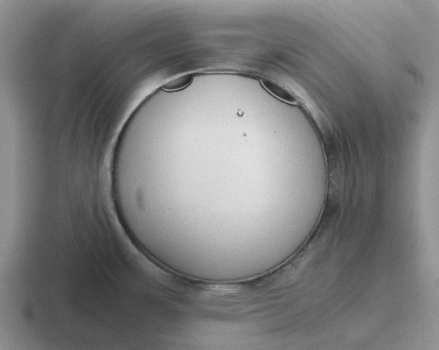 X0000116861483201001051415