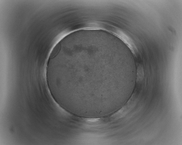 X0000116861484201001051415