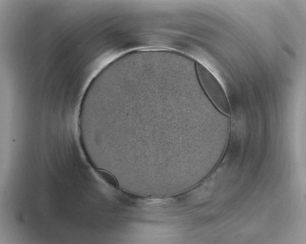 X0000116861485201001051415